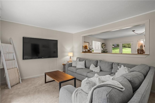 2621 Pass Cir, Gainesville, GA 30506 - living area with carpet, crown molding, and baseboards
