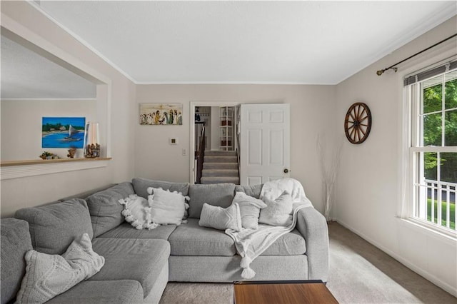 2621 Pass Cir, Gainesville, GA 30506 - carpeted living room featuring healthy amount of natural light and crown molding