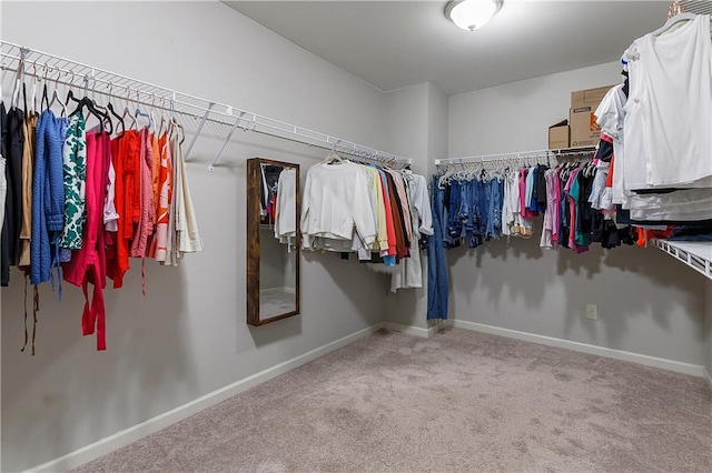 5240 Bristlecone Pine Way, Cumming, GA 30040 - spacious closet with carpet