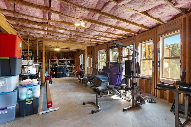 5240 Bristlecone Pine Way, Cumming, GA 30040 - view of workout room
