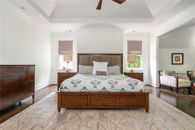 bedroom with a raised ceiling, multiple windows, baseboards, and crown molding