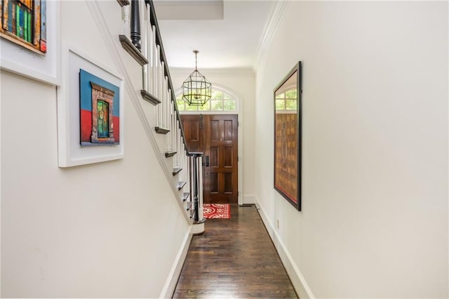 doorway featuring a chandelier, crown molding, dark wood-style flooring, stairway, and baseboards