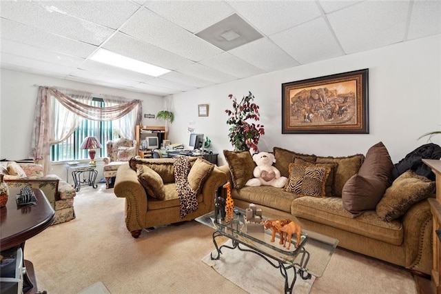 living room with a drop ceiling and carpet