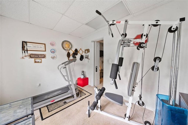 exercise area featuring a paneled ceiling and carpet