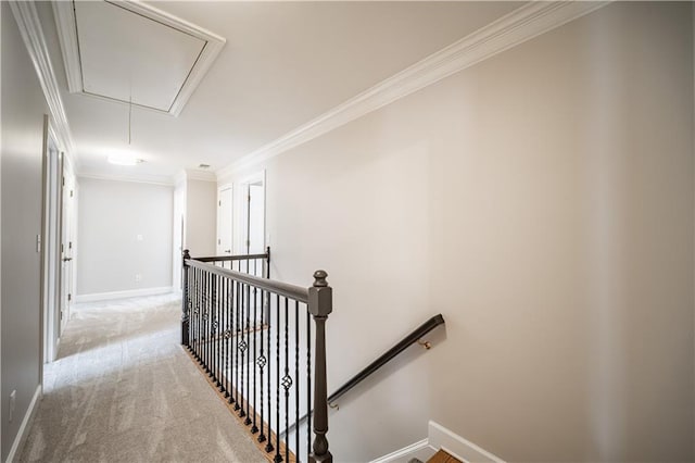 stairway featuring attic access, ornamental molding, carpet flooring, and baseboards