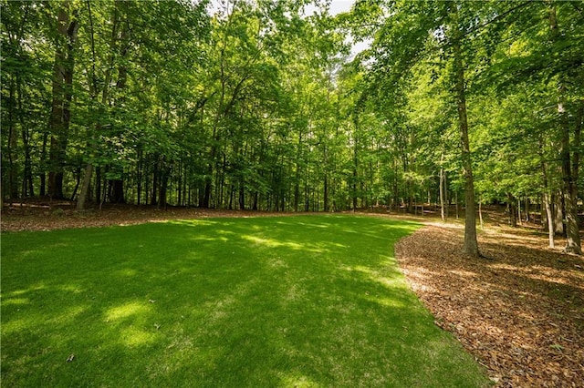 view of green lawn with a forest view