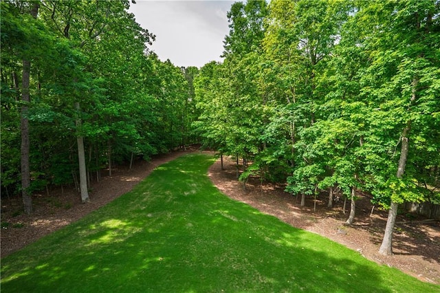 view of green lawn