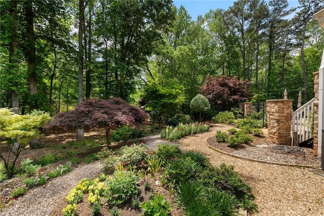 view of yard