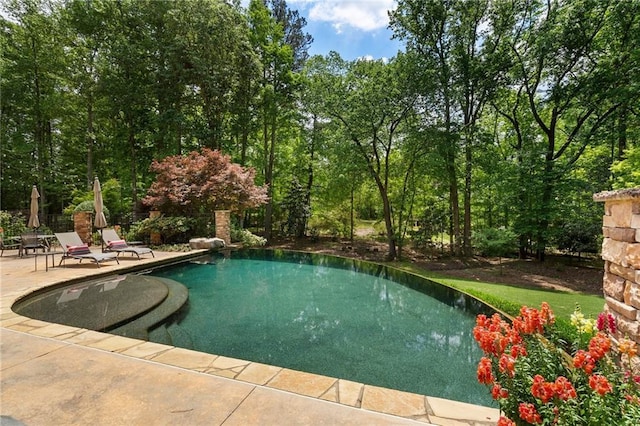 pool featuring a patio