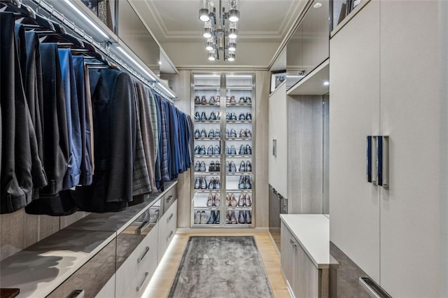 walk in closet with light wood-type flooring