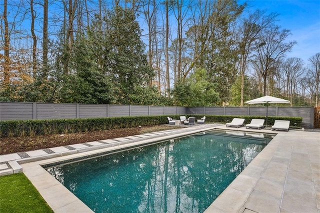 view of pool featuring fence, a fenced in pool, and a patio