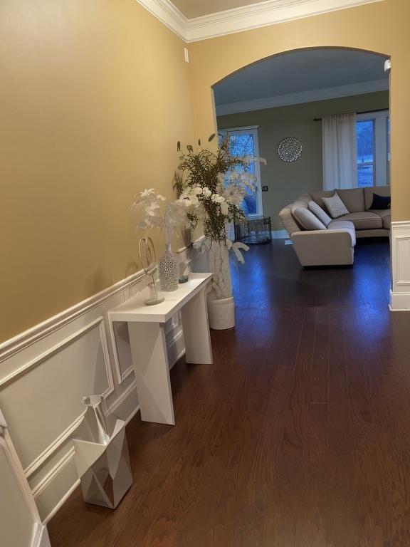 hallway featuring crown molding and dark hardwood / wood-style floors