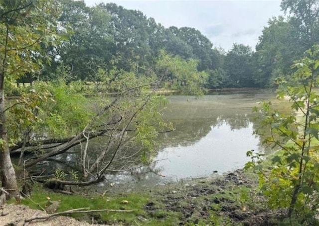 water view with a wooded view
