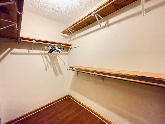 walk in closet featuring wood finished floors
