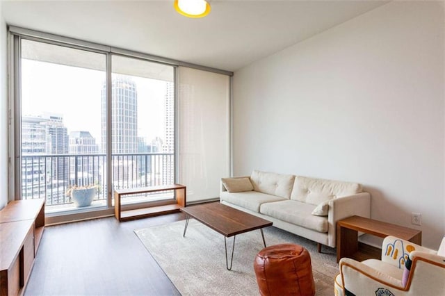 living room featuring floor to ceiling windows, a city view, and wood finished floors