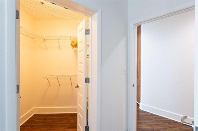 spacious closet featuring dark wood-type flooring