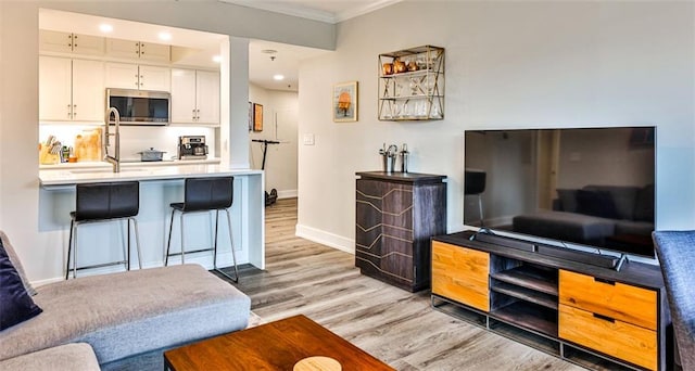 living room featuring crown molding, light wood-style flooring, and baseboards