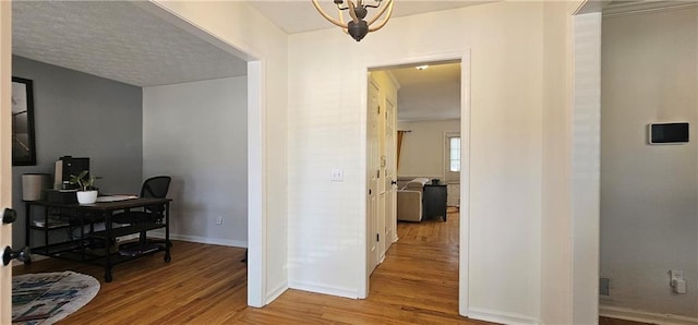 office featuring light hardwood / wood-style floors and a textured ceiling