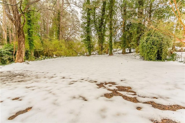 view of snowy landscape