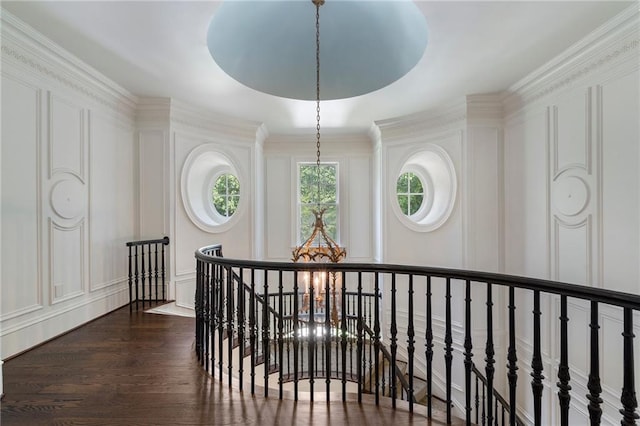 hall with a wealth of natural light, dark hardwood / wood-style floors, a chandelier, and ornamental molding