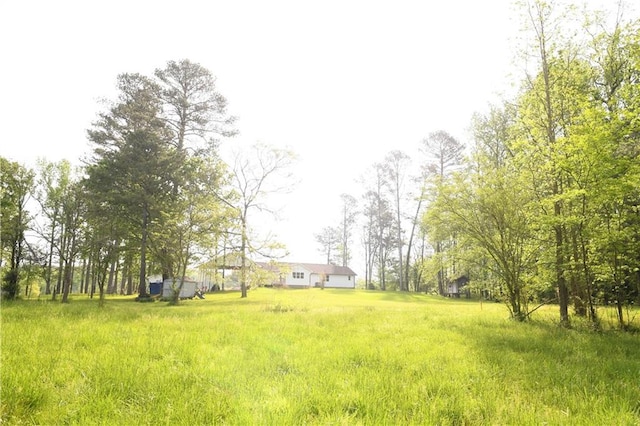 446 Brown Bridge Rd, Chatsworth, GA 30705 - view of yard
