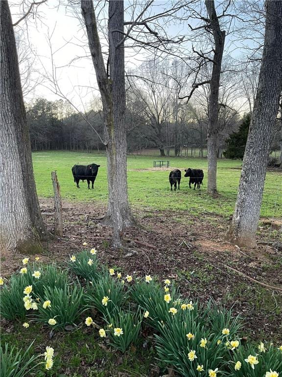 446 Brown Bridge Rd, Chatsworth, GA 30705 - view of property's community featuring a yard