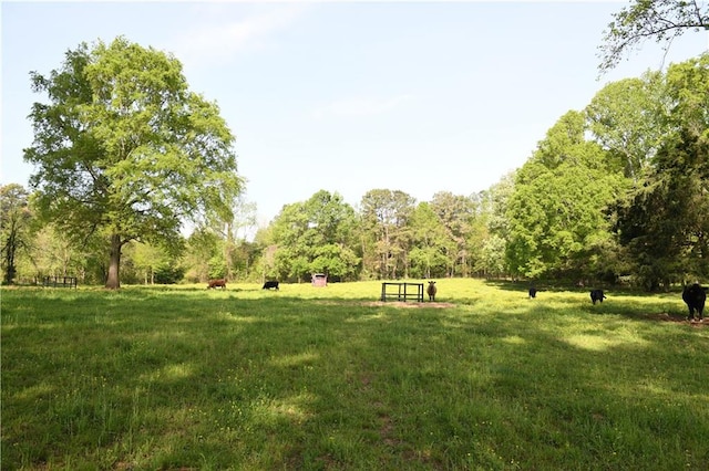 446 Brown Bridge Rd, Chatsworth, GA 30705 - view of community with a lawn