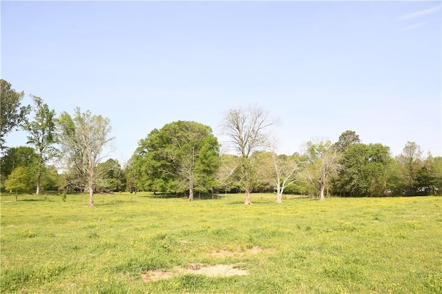 446 Brown Bridge Rd, Chatsworth, GA 30705 - view of yard