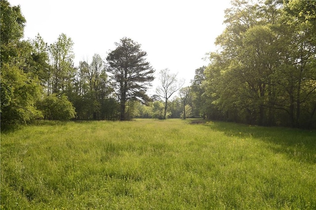 446 Brown Bridge Rd, Chatsworth, GA 30705 - view of yard