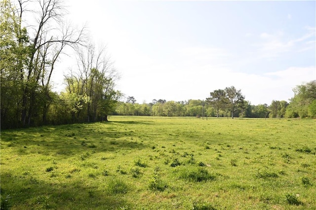 446 Brown Bridge Rd, Chatsworth, GA 30705 - view of green lawn with a view of rural / pastoral area