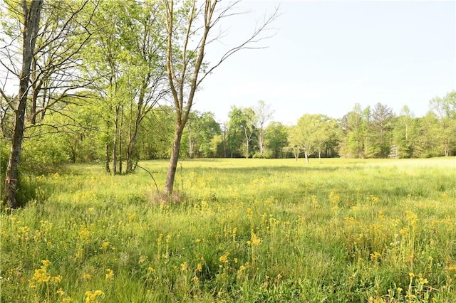 446 Brown Bridge Rd, Chatsworth, GA 30705 - view of wooded area