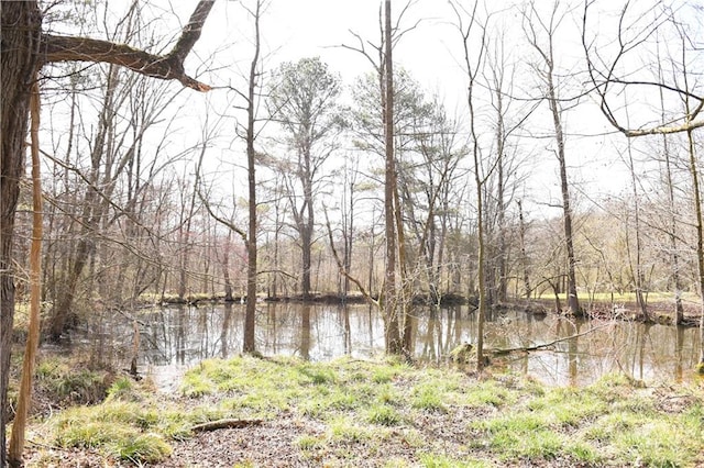 446 Brown Bridge Rd, Chatsworth, GA 30705 - water view featuring a heavily wooded area