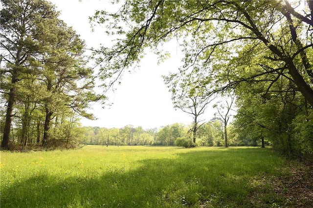 446 Brown Bridge Rd, Chatsworth, GA 30705 - view of property's community featuring a view of trees