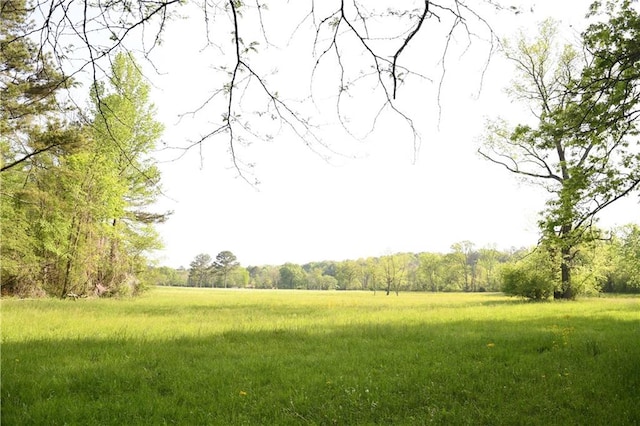 446 Brown Bridge Rd, Chatsworth, GA 30705 - view of yard with a forest view