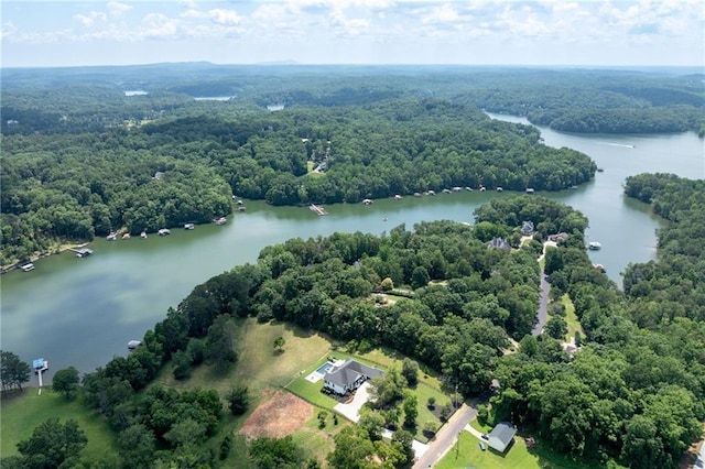 5651 Old Wilkie Rd, Gainesville, GA 30506 - aerial view of a large body of water and a heavily wooded area