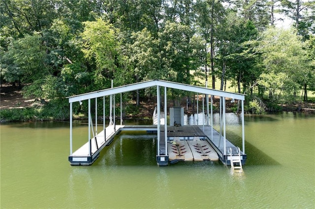 5651 Old Wilkie Rd, Gainesville, GA 30506 - dock area with a water view and boat lift