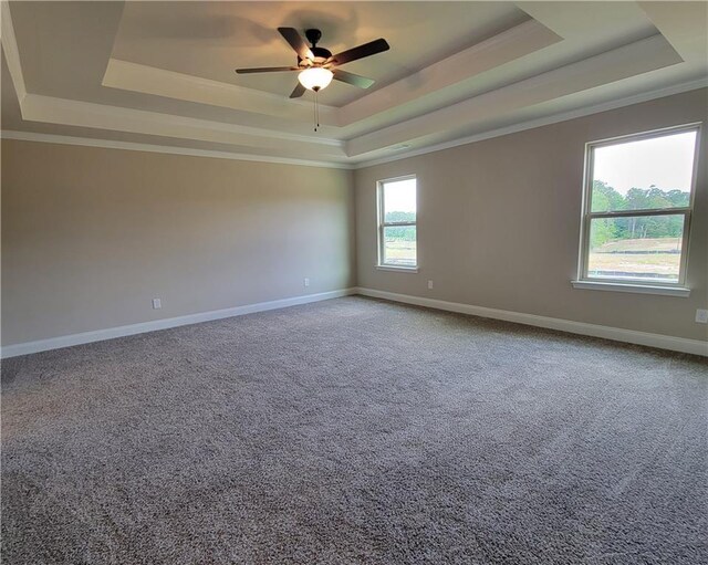 empty room with carpet, plenty of natural light, and a tray ceiling