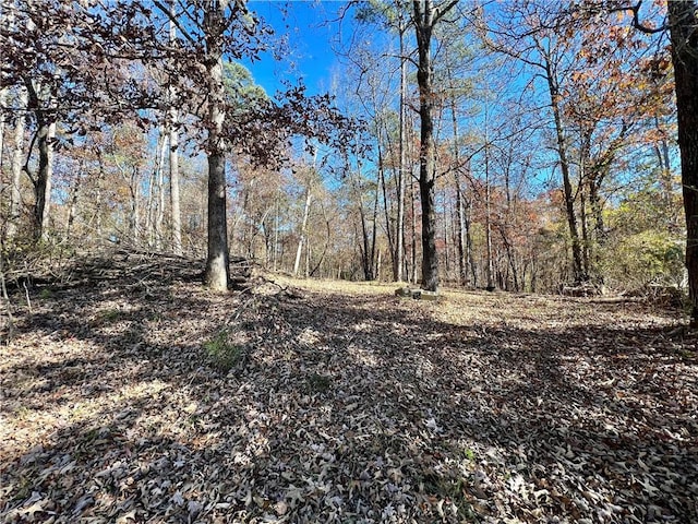 view of local wilderness