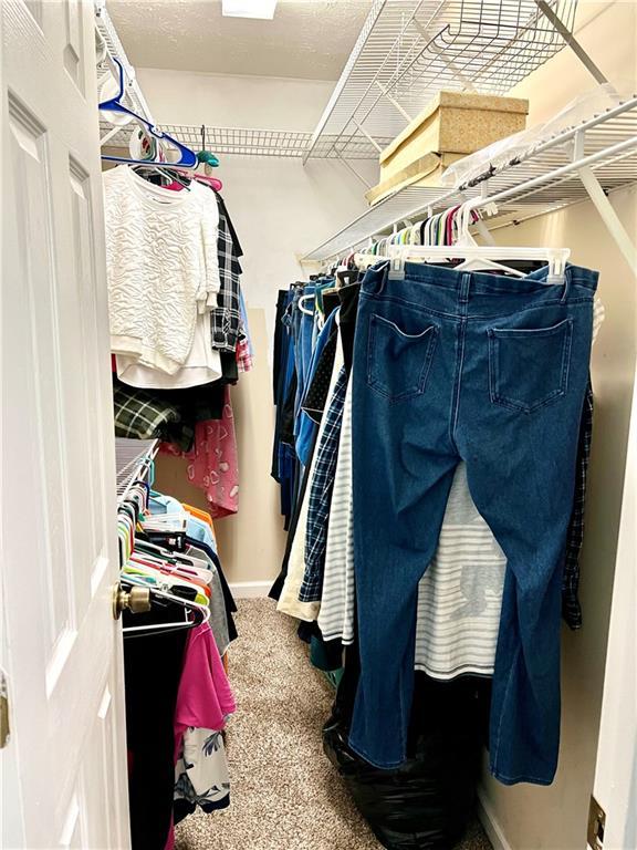 walk in closet with carpet floors