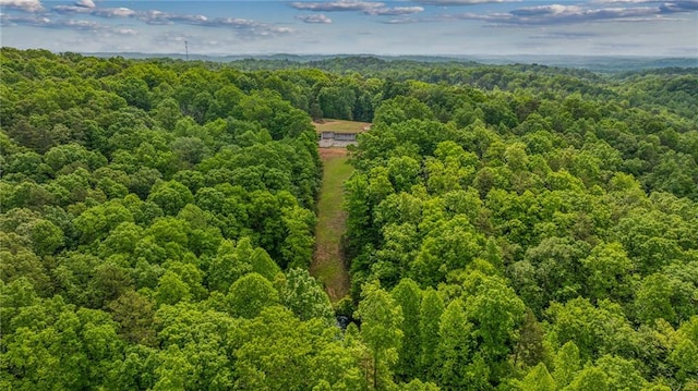 270 Old Cherokee Way, Dawsonville, GA 30534