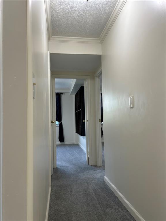 2479 Peachtree Rd NE Unit 317, Atlanta, GA 30305