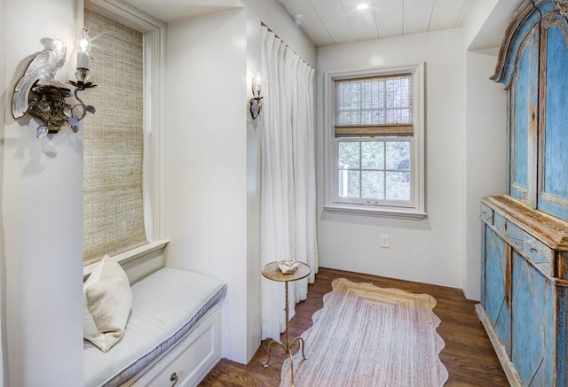 mudroom with recessed lighting and dark wood-style flooring