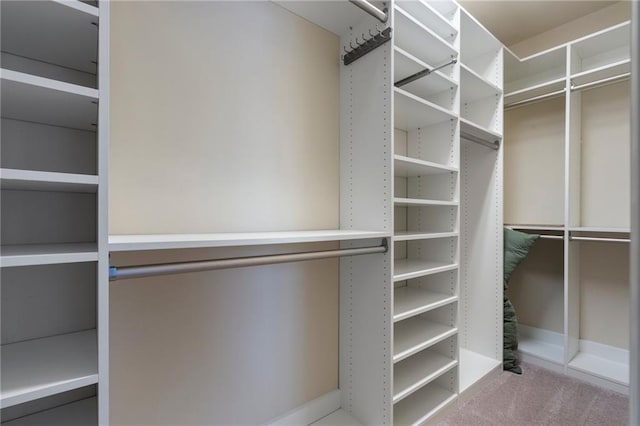 walk in closet with carpet