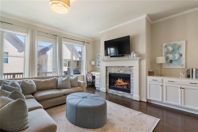 living area featuring dark wood-type flooring, crown molding, and a fireplace