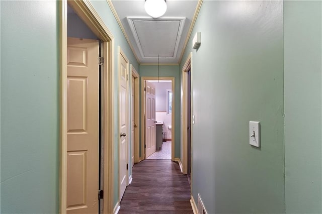 corridor featuring crown molding and dark hardwood / wood-style floors