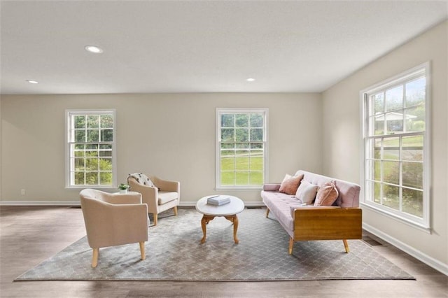 living room with plenty of natural light and wood-type flooring