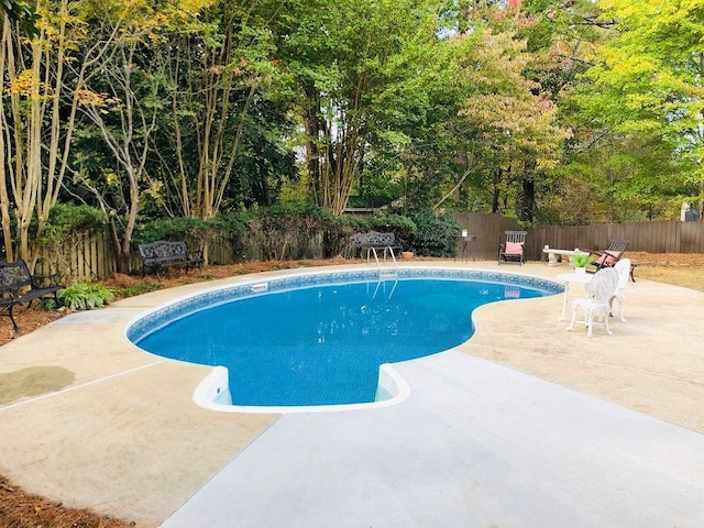 view of pool with a fenced in pool, a patio, and a fenced backyard