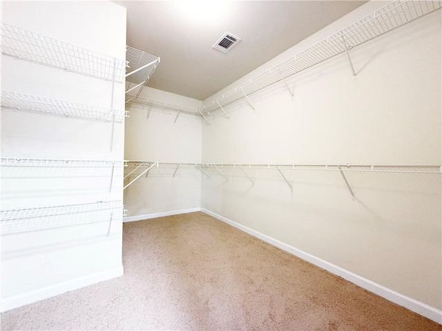 walk in closet with carpet