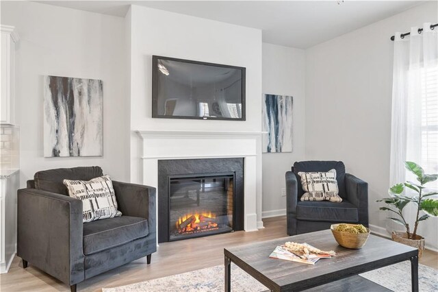 living room featuring light hardwood / wood-style flooring