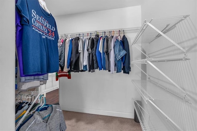 walk in closet with carpet floors
